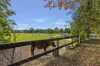 1355 Dooralong Road, Dooralong, NSW 2259-Image
