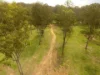 136 - 228 Marks Road, Logan Village, Qld 4207-Image
