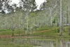 136 - 228 Marks Road, Logan Village, Qld 4207-Image