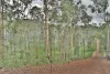 136 - 228 Marks Road, Logan Village, Qld 4207-Image