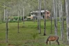 136 - 228 Marks Road, Logan Village, Qld 4207-Image