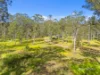 136 - 228 Marks Road, Logan Village, Qld 4207-Image