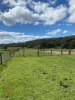136 Hogans Lane, Musk Vale, Vic 3461-Image
