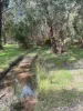 136 Hogans Lane, Musk Vale, Vic 3461-Image