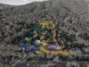 1369 Beaudesert Beenleigh Road, Cedar Creek, Qld 4207-Image