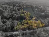 1369 Beaudesert Beenleigh Road, Cedar Creek, Qld 4207-Image