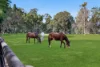 137 Currey Road, Wongawallan, Qld 4210-Image