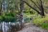 137 Currey Road, Wongawallan, Qld 4210-Image