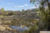 137 Powell Drive, Carwoola, NSW 2620-Image