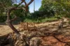 137 Proston Abbeywood Road, Proston, Qld 4613-Image