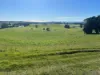1373 Mount Hicks Road, Mount Hicks, Tas 7325