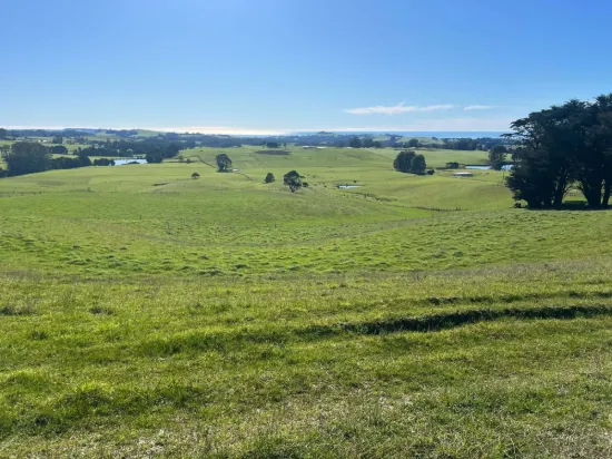 1373 Mount Hicks Road, Mount Hicks, Tas 7325