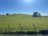 1373 Mount Hicks Road, Mount Hicks, Tas 7325-Image
