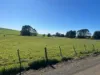 1373 Mount Hicks Road, Mount Hicks, Tas 7325-Image