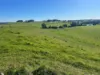 1373 Mount Hicks Road, Mount Hicks, Tas 7325-Image