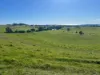 1373 Mount Hicks Road, Mount Hicks, Tas 7325-Image