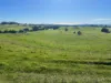 1373 Mount Hicks Road, Mount Hicks, Tas 7325-Image