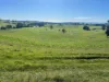 1373 Mount Hicks Road, Mount Hicks, Tas 7325-Image