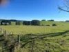 1373 Mount Hicks Road, Mount Hicks, Tas 7325-Image