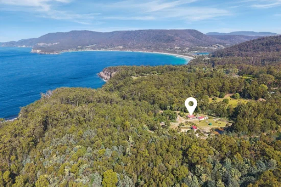 139 Pirates Bay Drive, Eaglehawk Neck, Tas 7179