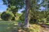 14 Blackbutt Avenue, Repton, NSW 2454-Image