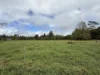 14 Croft Road, Malanda, Qld 4885-Image