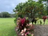 14 Croft Road, Malanda, Qld 4885-Image