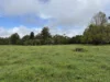 14 Croft Road, Malanda, Qld 4885-Image