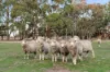 14 Deep Lead Lane, Creswick, Vic 3363-Image
