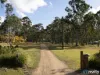 14 George Street, Nanango, Qld 4615-Image