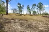 14 Goodman Drive, Murphys Creek, Qld 4352-Image