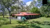 14 Jacaranda Drive, Millstream, Qld 4888-Image
