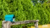 14 Treeview Drive, Rainbow Flat, NSW 2430-Image