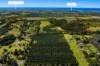 14 tuckombil lane, Tuckombil, NSW 2477