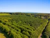 14 tuckombil lane, Tuckombil, NSW 2477-Image