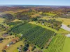 14 tuckombil lane, Tuckombil, NSW 2477-Image