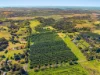 14 tuckombil lane, Tuckombil, NSW 2477-Image