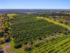 14 tuckombil lane, Tuckombil, NSW 2477-Image