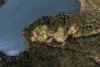140 Gannons Point Road, Bodalla, NSW 2545-Image