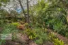 140 Tuntable Creek Road, The Channon, NSW 2480-Image