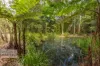140 Tuntable Creek Road, The Channon, NSW 2480-Image