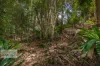 140 Tuntable Creek Road, The Channon, NSW 2480-Image