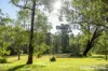 140C Narrawallee Creek Road, Lake Conjola, NSW 2539-Image