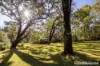 140C Narrawallee Creek Road, Lake Conjola, NSW 2539-Image
