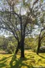 140C Narrawallee Creek Road, Lake Conjola, NSW 2539-Image