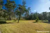 140C Narrawallee Creek Road, Lake Conjola, NSW 2539-Image