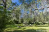 140C Narrawallee Creek Road, Lake Conjola, NSW 2539-Image