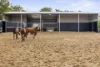 141 Jacksons Hill Road, Kenton Valley, SA 5233-Image