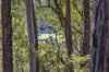 141 Lynch Road, Laguna, NSW 2325-Image