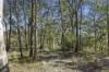 141 Lynch Road, Laguna, NSW 2325-Image